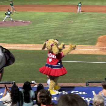 Charleston Riverdogs - Professional Sports Teams Near Me - Charleston, South Carolina Charleston Riverdogs - Professional Sports Teams Near Me - Charleston, South Carolina