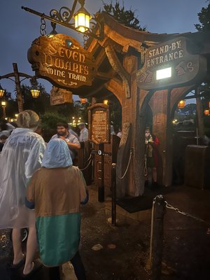 Seven Dwarfs Mine Train by null