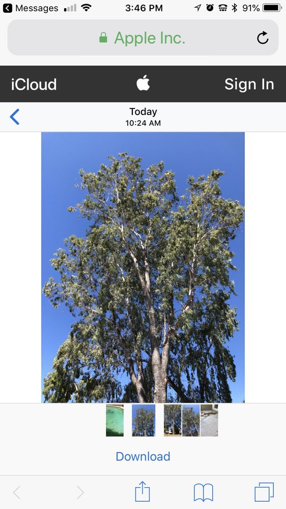 THE OSSELAER COMPANY 17 Photos & 41 Reviews 532 E Maryland Ave