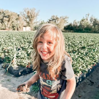 Berry Sweet Acres - Pick Your Own Farms Near Me - Plant City, Florida