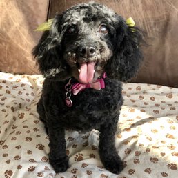 She's so happy! Fresh cut from Pups and Tubs She's so happy! Fresh cut from Pups and Tubs