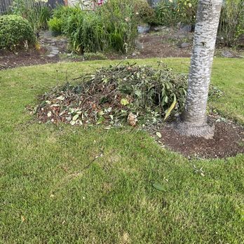 Oregons Finest Lawns - Landscaping Near Me