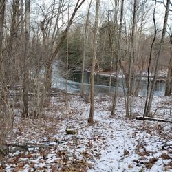 Bower Park - Wappingers Creek