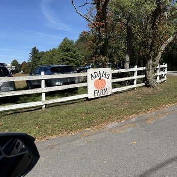 ADAM'S FARM - You won't have service be prepared for that to enjoy the present moment. - Pumpkin Patches Near Me - Cumberland, Rhode Island