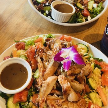 Aloha Bakery And Cafe - Aloha salad (front) and chicken salad (back) - Bakeries Near Me - Boynton Beach, Florida Aloha Bakery And Cafe - Aloha salad (front) and chicken salad (back) - Bakeries Near Me - Boynton Beach, Florida