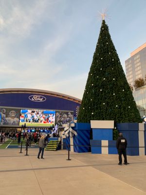The Star in Frisco by null