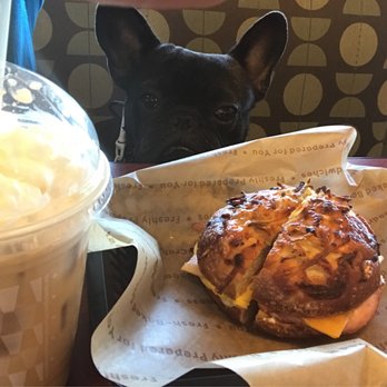 Einstein Bros. Bagels - Farmhouse on cheddar hash brown bagel - Bagels Near Me - Long Beach, California