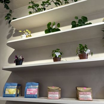 Coffee and Plants - Coffee & Tea Near Me - Studio City, California