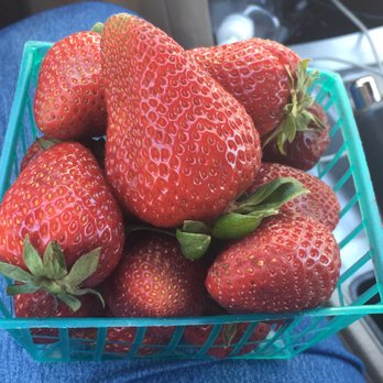 Apricot Hill Fruit & Nut Stand - Soooo good - Fruits & Veggies Near Me - Gustine, California