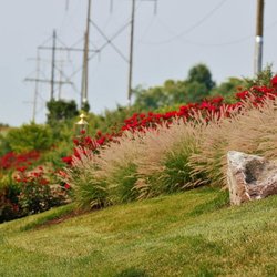 Poole Landscaping