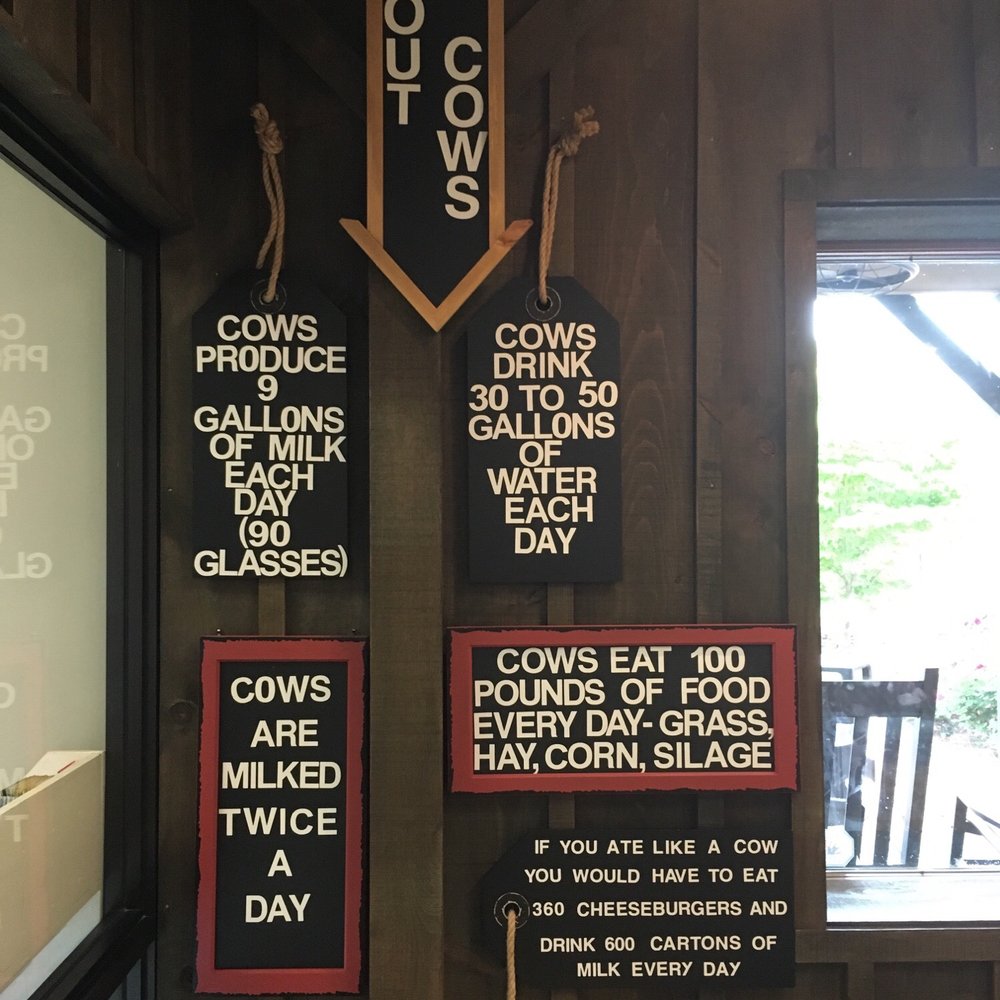 Mayfield Dairy Farms - Ice Cream & Frozen Yogurt Near Me - Athens, Tennessee Mayfield Dairy Farms - Ice Cream & Frozen Yogurt Near Me - Athens, Tennessee