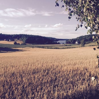 Hukeberg Rundt - View from Skomakervegen towards the lake Vannsjø - Hiking Near Me - Råde, 01