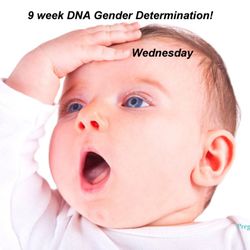 Pregnancy Treasures & Boutique - DNA Gender at 9 weeks