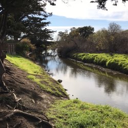 Hardie Park- County of San Luis Opispo - Serene Creek in back of park.