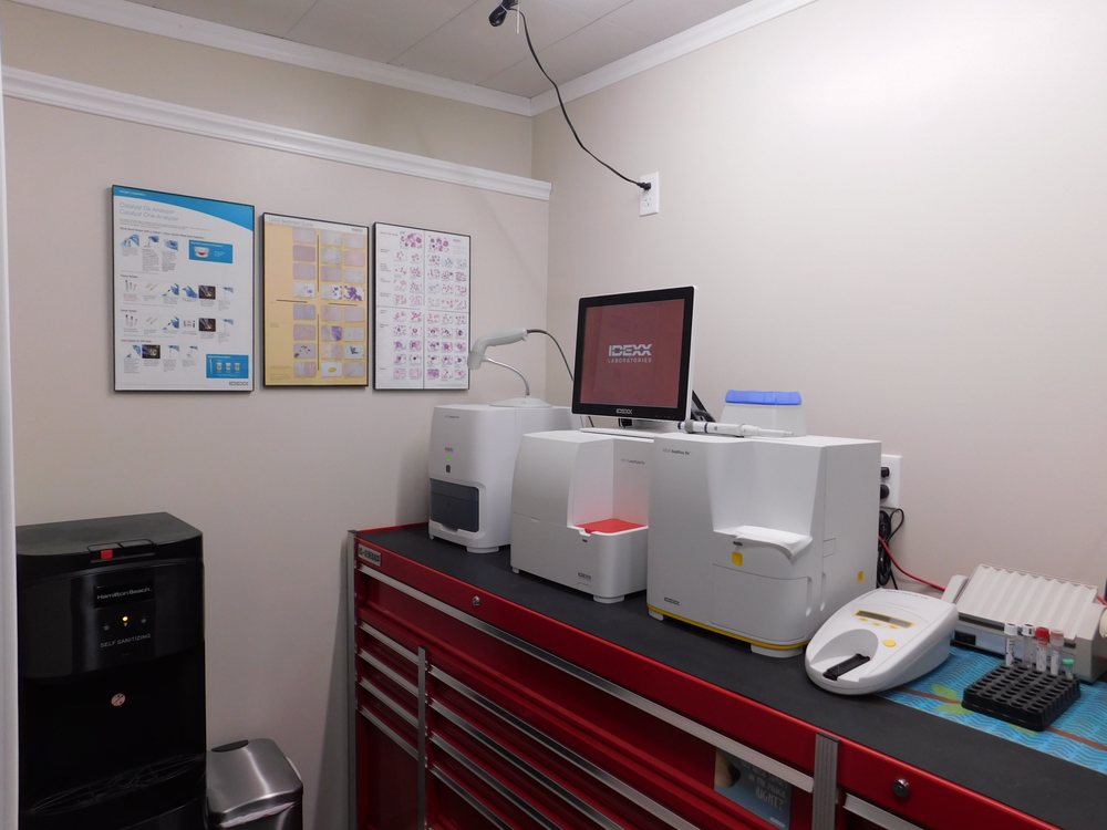 CEDAR VETERINARY CLINIC 11 Photos & 18 Reviews 533 N Airport Rd