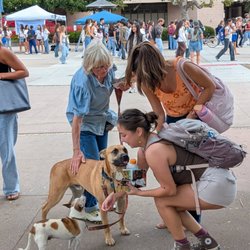 Follow the Leader K9 - Ranger [ and Chico] socializing at UCSB- first time like a champ!