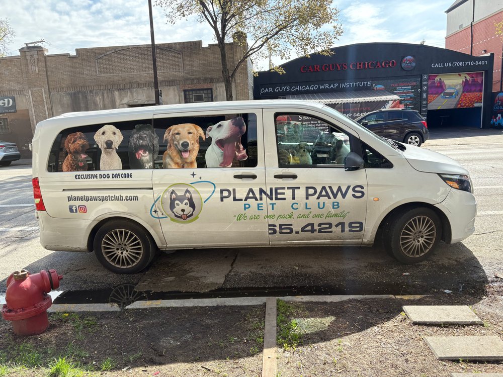 Planet Paws - pet boarding facility in Chicago, IL