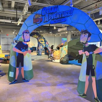 National Children's Museum - Wild Krats - Children's Museums Near Me - Washington, DC, District of Columbia