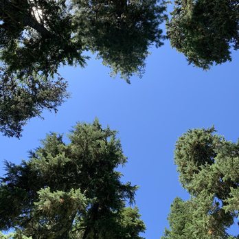 Umbrella Falls Trail - Hiking Near Me - Mt Hood, Oregon
