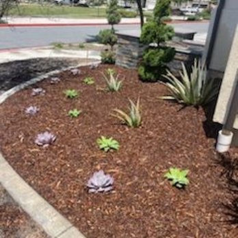 Reynaldo Landscape Inc. - Landscaping Near Me - La Habra, California Reynaldo Landscape Inc. - Landscaping Near Me - La Habra, California