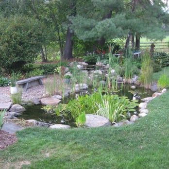 Daylily Dreams - Koi pond in the back yard garden - Bed & Breakfast Near Me - Cooperstown, New York Daylily Dreams - Koi pond in the back yard garden - Bed & Breakfast Near Me - Cooperstown, New York