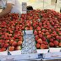 Coronado Farmer's Market