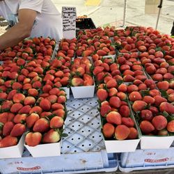 Coronado Farmer's Market