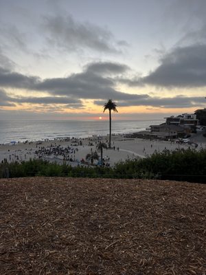 Moonlight State Beach by null