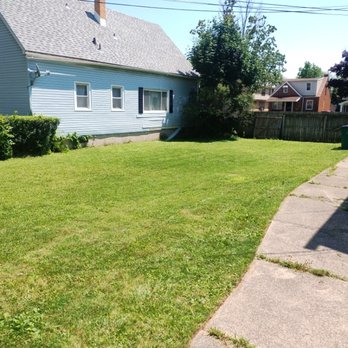 Jungle Landscaping - Lawn Services Near Me - Buffalo, New York