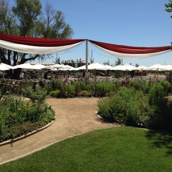 So Eventful - I can't believe this fit in our budget..Its actually looked like a circus! - Party & Event Planning Near Me - Healdsburg, California So Eventful - I can't believe this fit in our budget..Its actually looked like a circus! - Party & Event Planning Near Me - Healdsburg, California