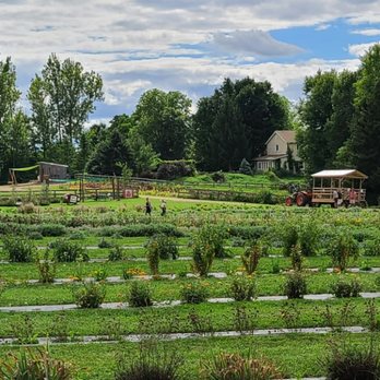 Lochland Botanicals - Endless rows of flowers - Botanical Gardens Near Me - Milton, Ontario Lochland Botanicals - Endless rows of flowers - Botanical Gardens Near Me - Milton, Ontario