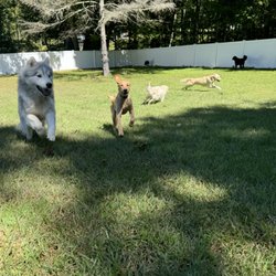 Tolland Tails