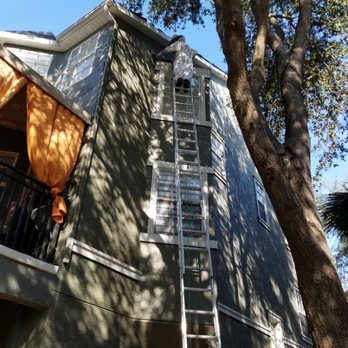 Pro Wildlife Removal - Bees over the 3rd story dining room. - Pest Control Near Me - Trinity, Florida Pro Wildlife Removal - Bees over the 3rd story dining room. - Pest Control Near Me - Trinity, Florida