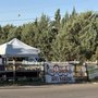 Photo of Los Ranchos Growers Market