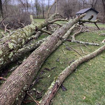 Ewing Tree Service - Tree Services Near Me - Port William, Ohio Ewing Tree Service - Tree Services Near Me - Port William, Ohio