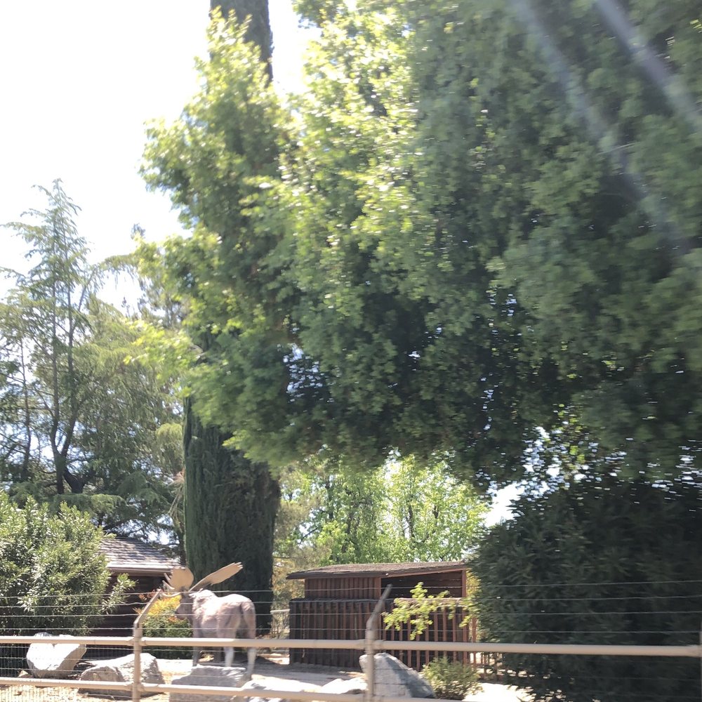 McSweeny Farms - Farms Near Me - Hemet, California McSweeny Farms - Farms Near Me - Hemet, California