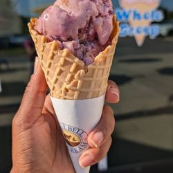 The Whole Scoop