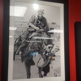 Colonel Sanders on Camel