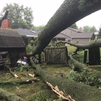 F & F Tree Service - Tree Services Near Me - Beavercreek, Ohio