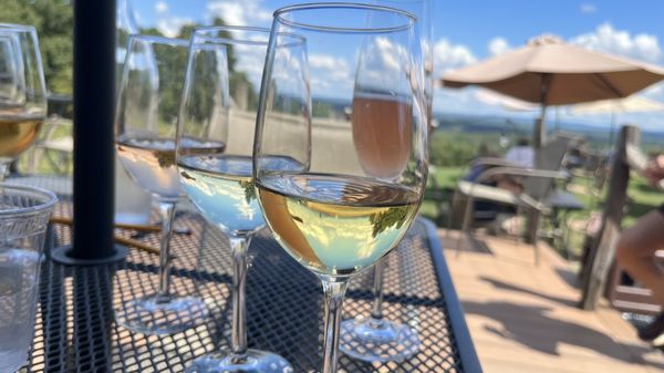 Benmarl Winery by null