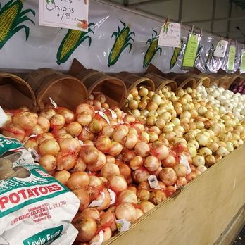 Lewin Farms - Pick Your Own Farms Near Me - Calverton, New York Lewin Farms - Pick Your Own Farms Near Me - Calverton, New York