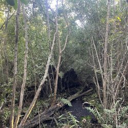 Gordon River Greenway Park