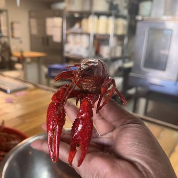Hoochies - Big o craw daddy - Seafood Near Me - Denton, Texas