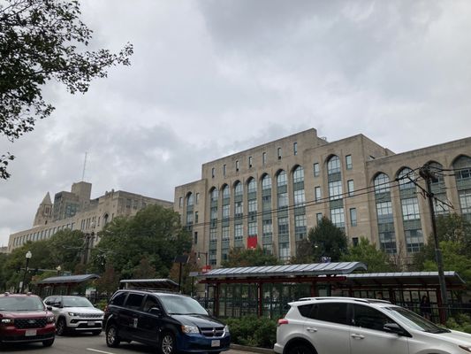 Boston University by null