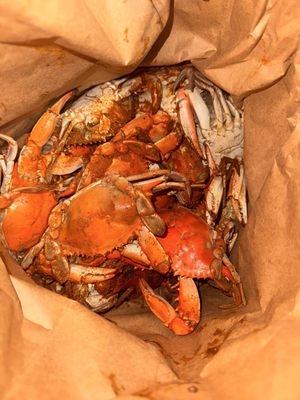 Captain White Seafood City by null