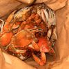 Captain White's Seafood gift card