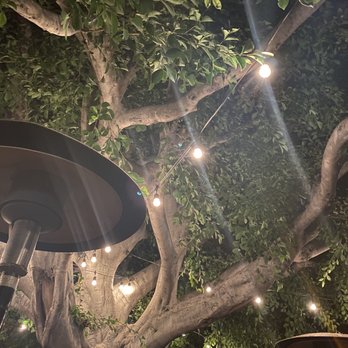 Piatti - Italian Near Me - La Jolla, California