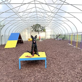 K9ology - Pet Training Near Me - Sperryville, Virginia K9ology - Pet Training Near Me - Sperryville, Virginia