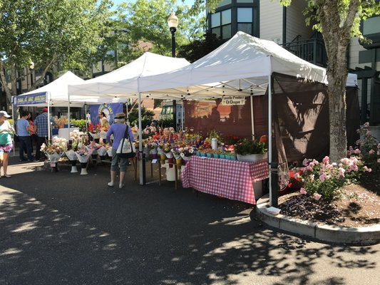 Hillsboro Farmers' Markets - Orenco Station by null