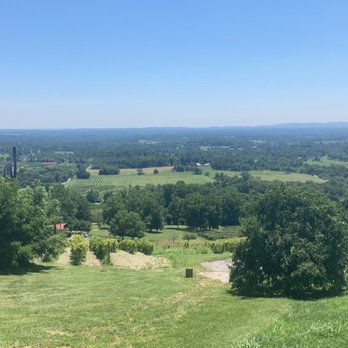 Bluemont Vineyard - Amazing Views - Venues & Event Spaces Near Me - Bluemont, Virginia